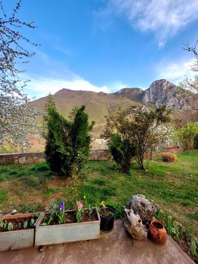 Incredible Apartment With A Mountain View - Matka Üsküp Dış mekan fotoğraf